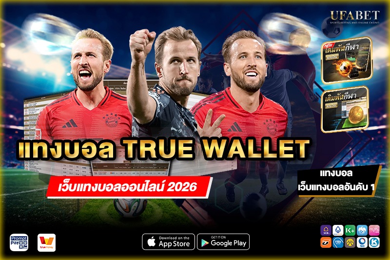 แทงบอล true wallet